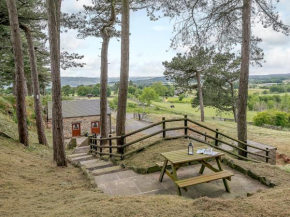 1 bed property in Tansley 61938